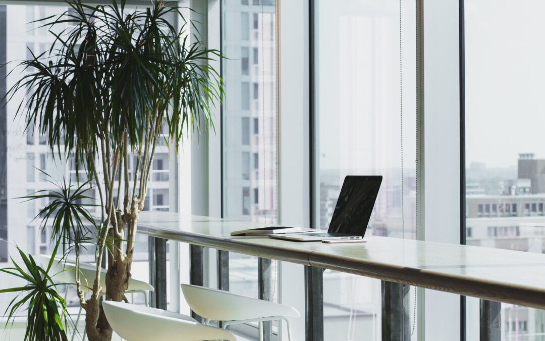 IT Managed Support Services